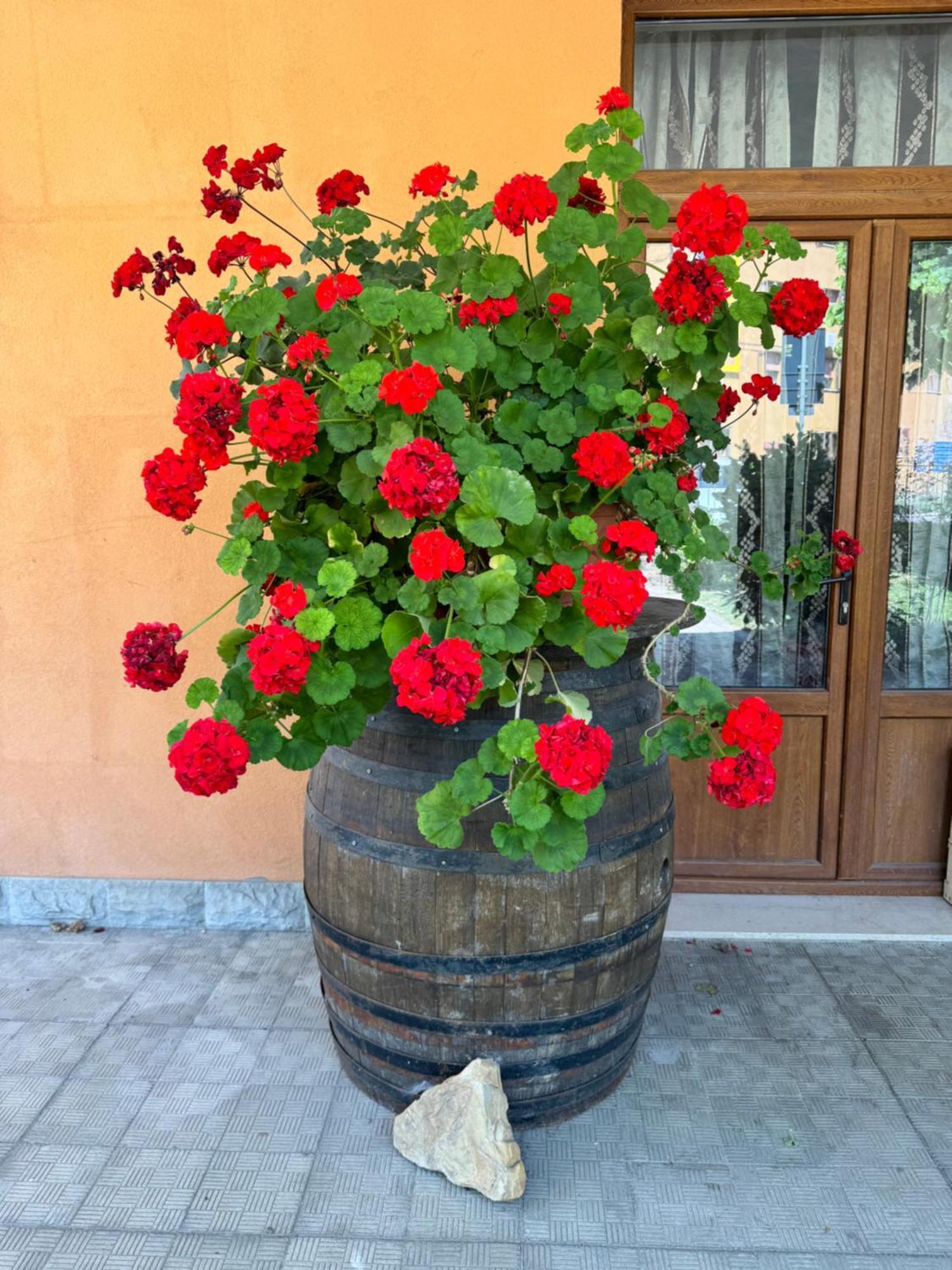 B&B Romani Madonna di Fornelli Luaran gambar